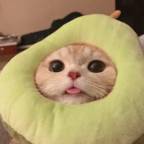 Eyeri