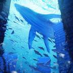 Iamwhale