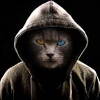 KittyKat